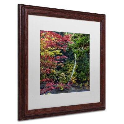 All the Colors of October in Ohio' Square Wood Framed Photographic Print -  Alcott HillÂ®, ACOT7123 40056342