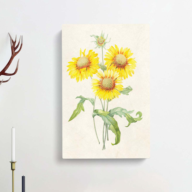 Yellow Blanket Flowers by Pierre-Joseph Redoute - Wrapped Canvas, 76cm H x 50cm W x 3cm D