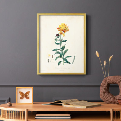 «Traditional Botanical III», reproduction encadrée - bois massif