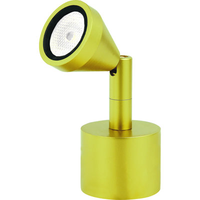 Popel Metal Torchiere Lamp