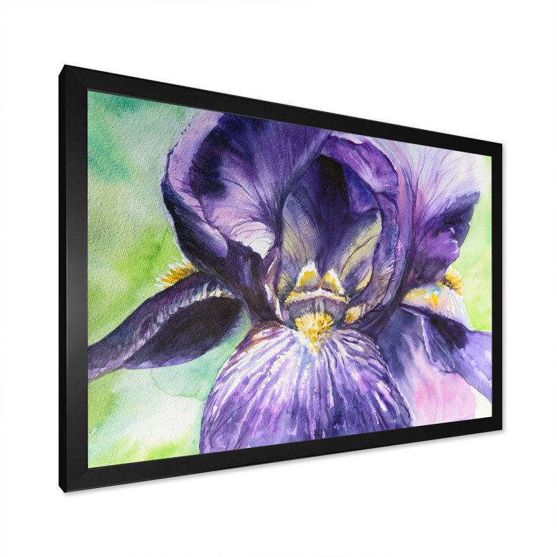 Aquarelle Iris fleur mauve - reproduction d'art sur toile, Cadre noir, H 8 po x l 12 po x P 1 po
