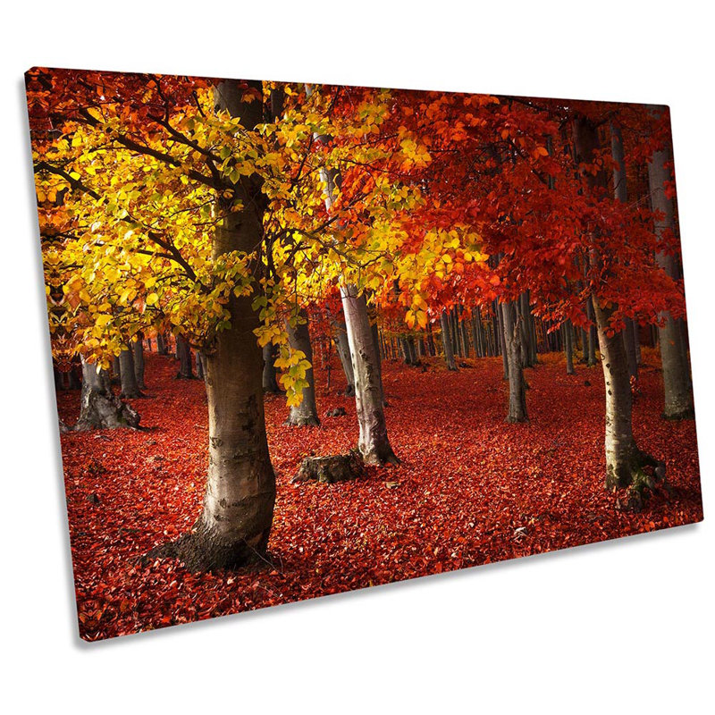 Autumn Forest Red Landscape - Wrapped Canvas Print, 30.5cm H x 45.7cm W x 2cm D