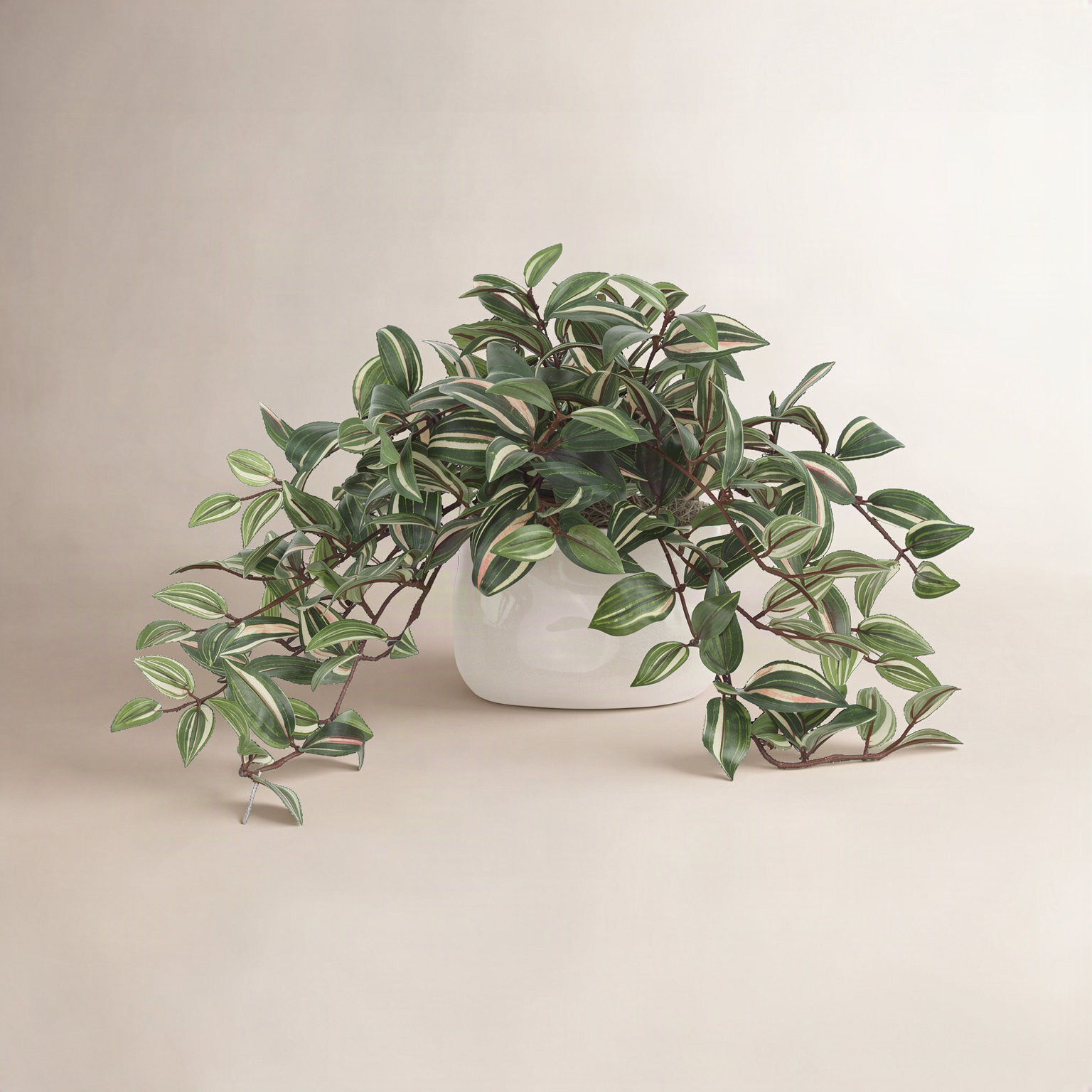 Karas Tradescantia Plant in Vase, Green, 12"H x 21"W x 14"D