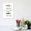 Feather Collection II by Carol Robinson - Painting on Canvas-1216285992-1216286032