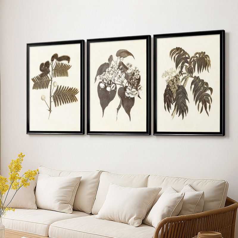 Sépia Botanicals I - Toile tendue avec châssis sur mesure - 3 pièces, Noir, H 21 po x l 30 po