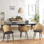 Ryne 46cm H Metal Side Chair