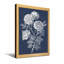 Plantes et fleurs roses sur fond-713868054-713868040-713868041