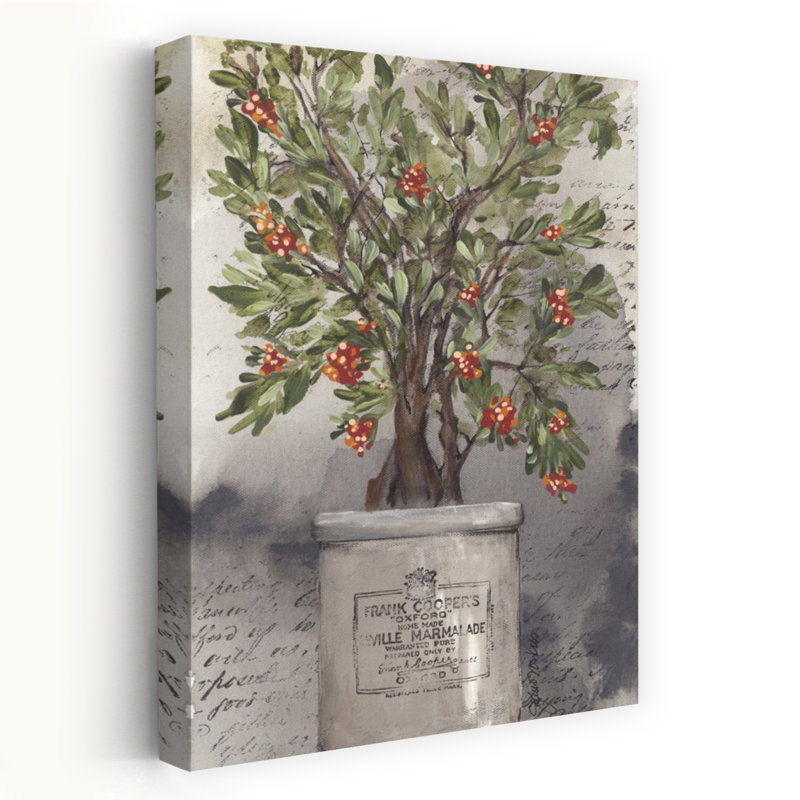 Art d'hiver rustique plante aigre-douce, H 24 po x l 16 po