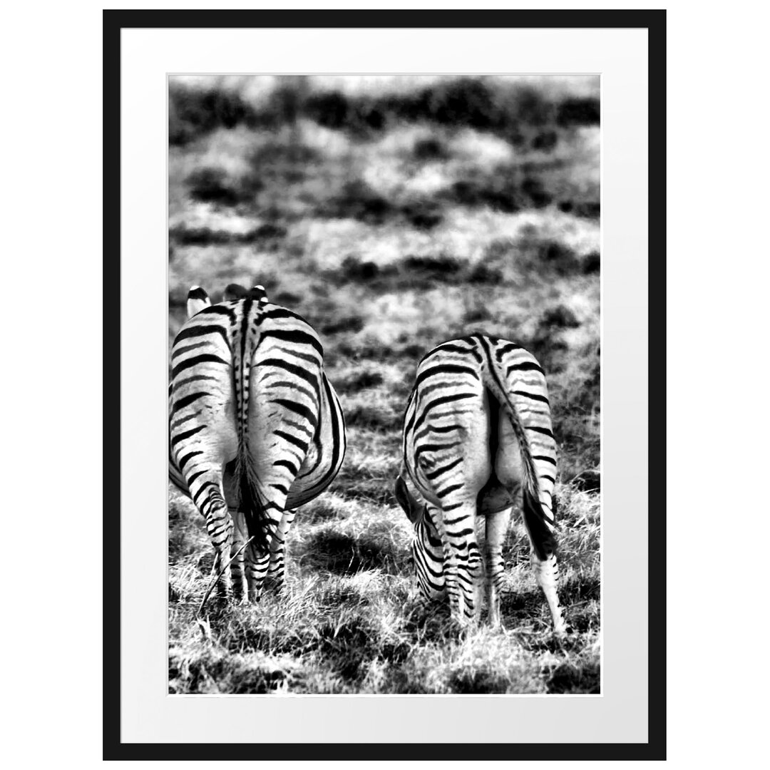 Gerahmtes Poster Zebras with White Birds