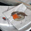 Disposable Paper Napkins