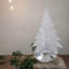Snowdrift Evergreen-1086001604