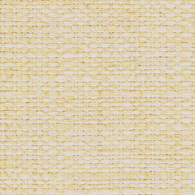 Scale Fabric