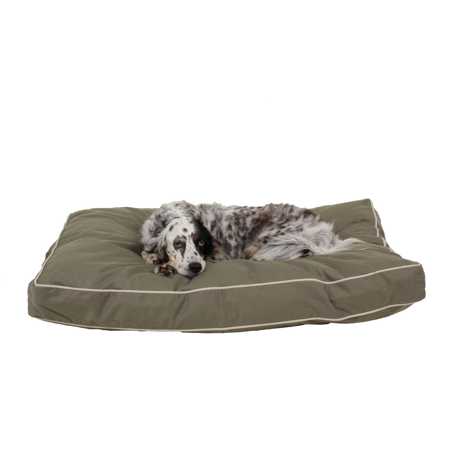 Orthopedic Foam Pet Bed with Washable Cover, Medium (42" W x 30" D x 4" H), Sage/Khaki
