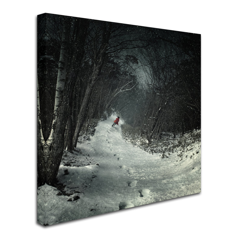 « into the winter forest », impression sur toile tendue, H 24 po x l 24 po