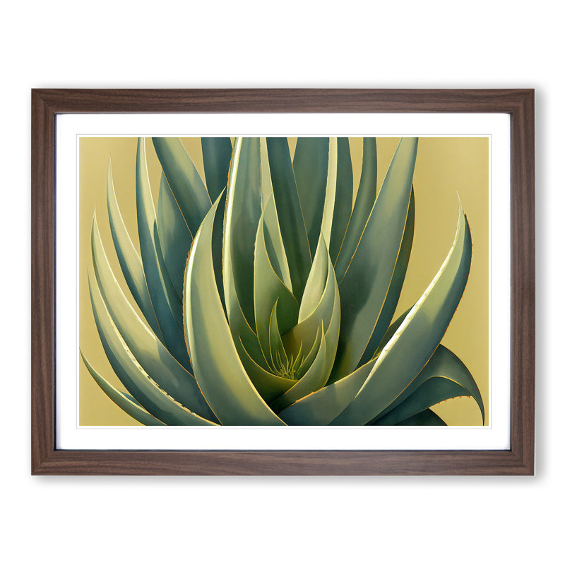 Lush Aloe Vera Plant 1 Piece Single Picture Frame Wall Art, 46cm H x 64cm W x 2cm D, Walnut