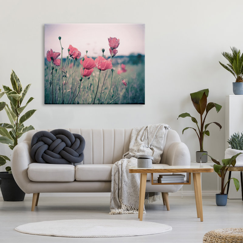 Champ de coquelicots d'automne - photographie, H 36 po x l 48 po, Toile tendue