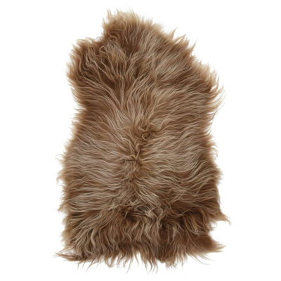 Shmuel Novelty 70 cm x 110 cm Hand Woven Shaggy Area Rug