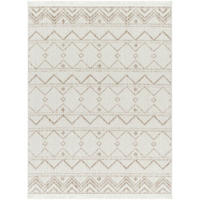 Southwestern Indoor Rug