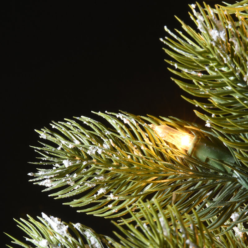 The Holiday Aisle® 4.5 ft. Trinity Spruce Tree with LED Lights