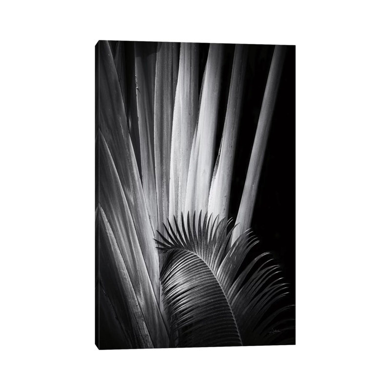 Tropical II by Aledanda - Wrapped Canvas Gallery-Wrapped Canvas Giclée, 101.6 cm H x 66.04 cm W x 1.91 cm D