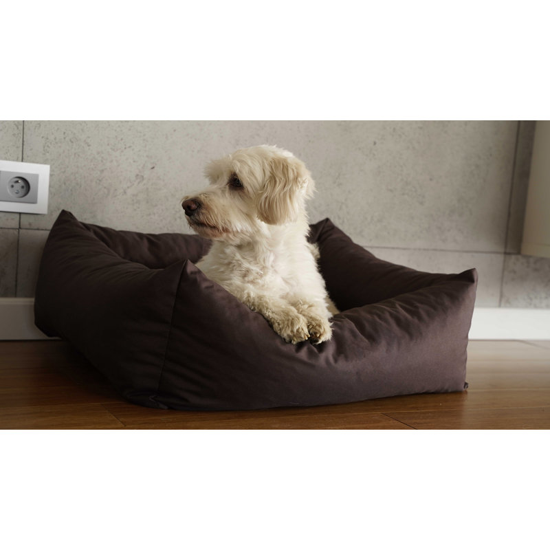 Theodis Codura Pet Bed, Brown, 17cm H x 70cm W x 61cm D, Medium