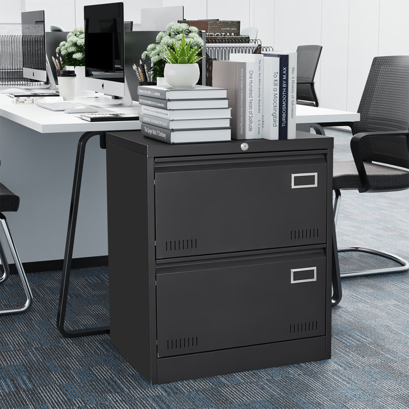 28.5''H  Metal Vertical File Storage Cabinet For Office And Home With Lock And 2 Drawers, Black