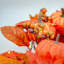 PUMPKIN ORCHARD 183cm Faux Garland