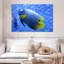 Angelfish bleu corail Brampt-107855058
