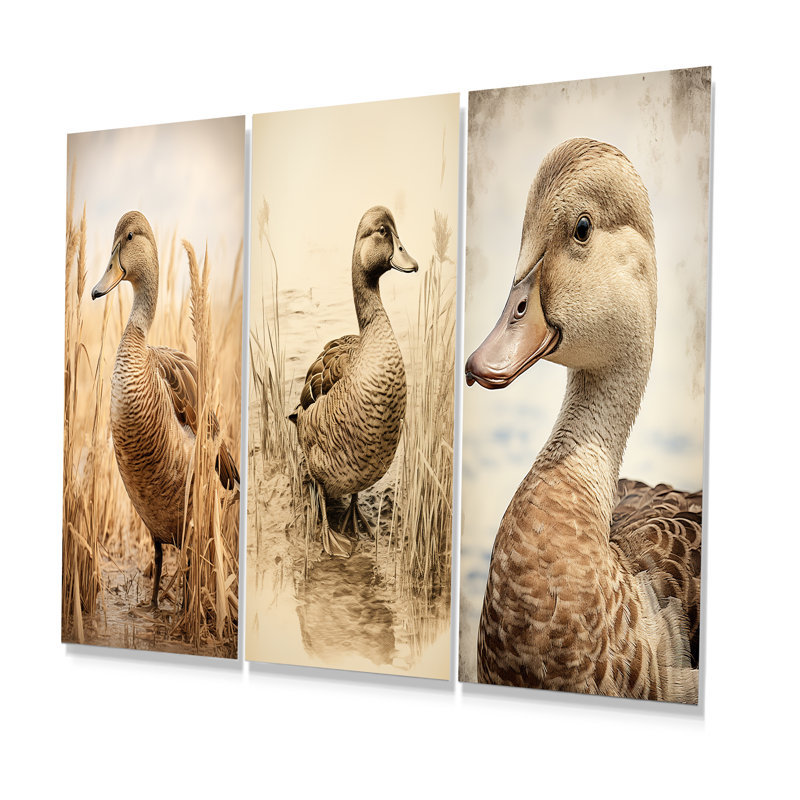 Brown Retro Duck Elegance II - Duck Metal Wall Decor Set Of 3, 28" H x 36" W