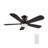 48"  5 - Blade LED Smart Flush Mount Ceiling Fan with Remote Control and Light Kit Included.-1466076141