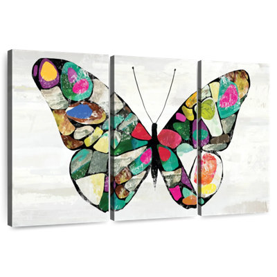 Couleurs de papillon Brampt
