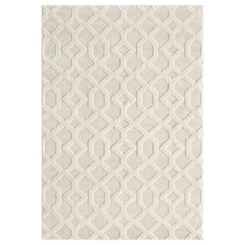Delvallo Trellis Area Rug, Rectangle 120 x 170 cm