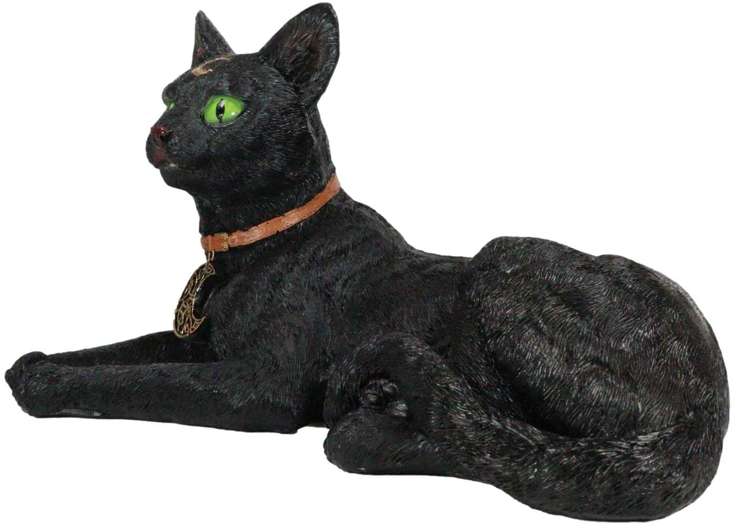 The Holiday Aisle® Bhatari Witching Hour Wicca Halloween & Reviews | Wayfair