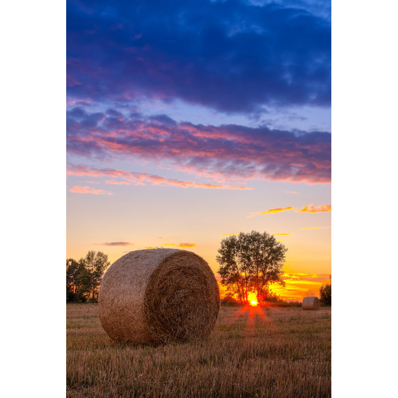 «Sunset Field» - Photographie sur toile tendue, H 12 po x l 8 po