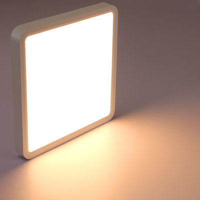 Dayenne Plastic LED Flush Mount