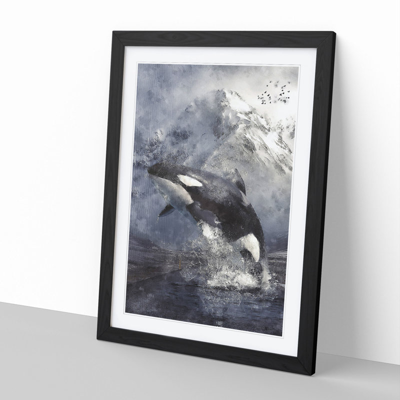 Killer Whale - Framed Print, 36cm H x 27cm W x 2cm D, Black Framed