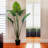 Travelers Palm Tree Artificial Plant