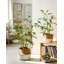 Imitation de verdure en pot de bambou de style moderne en pot pour décoration intérieure