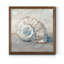 Blue Shell Study III-impression de cadre photo sur papier-145096524-145096539