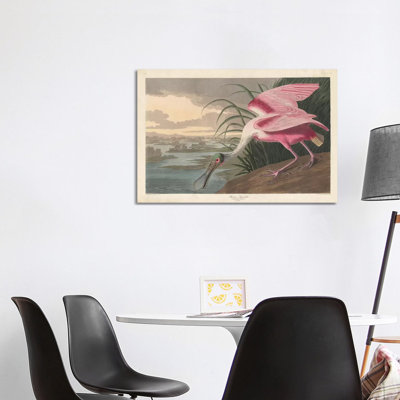 Roseate Spoonbill, 1836 by John James Audubon - Wrapped Canvas Gallery-Wrapped Canvas Giclée