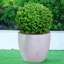 Concrete Effect Round Planter, Frostproof Outdoor Plant Pot, Round Garden Planter with Drainage Holes-39260877-39260670
