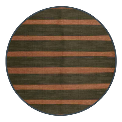 Machine Washable Horizontal Stripes Brown Area Rug