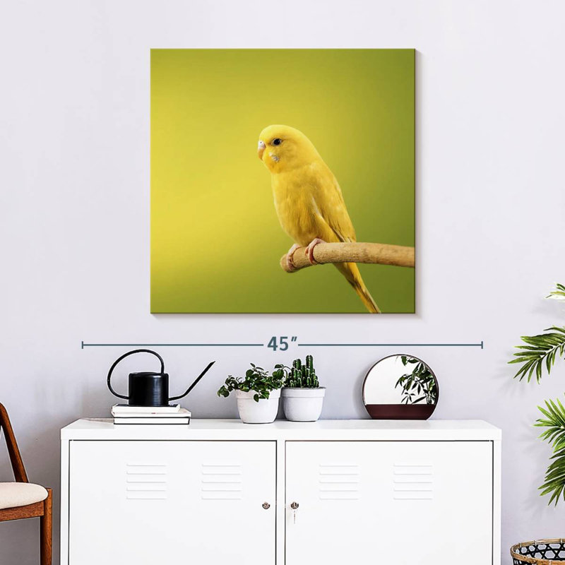 Brampt Perched Yellow Parakeet, 30" H x 30" W