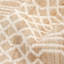 Sophie Trellis Area Rug in Ivory-217765102