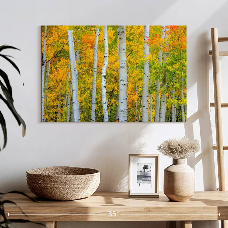 Arbres Telluride d'Alvord, H 16 po x l 24 po