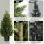 Cèdre artificiel dans un pot, faux arbre-1219485047