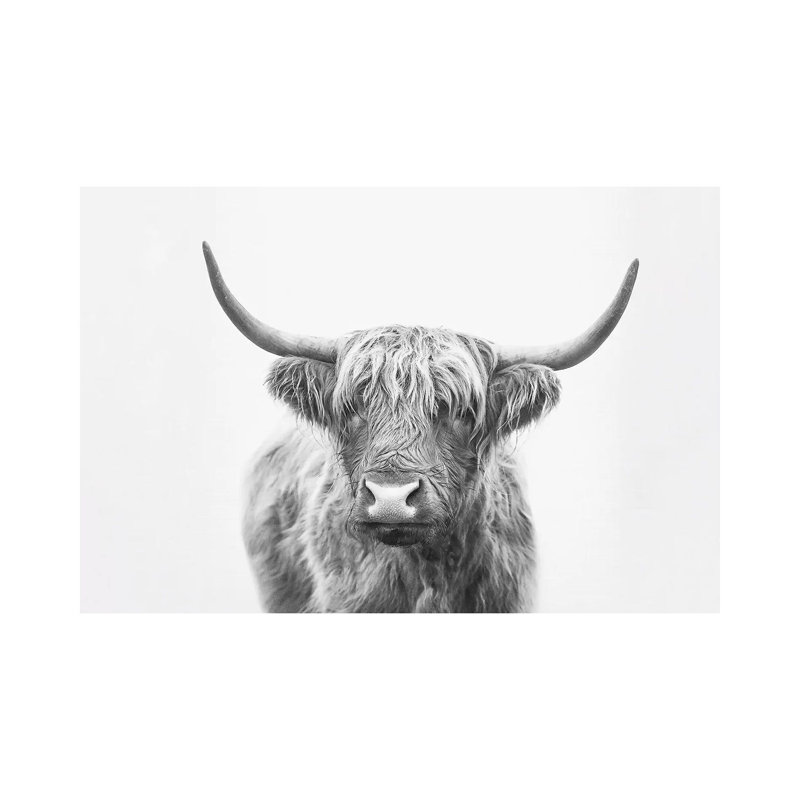 «Highland Bull» par Sissi & Seb - impression d'art graphique, 18" H x 26" W x1.5" D, Pas de tapis, Toile tendue