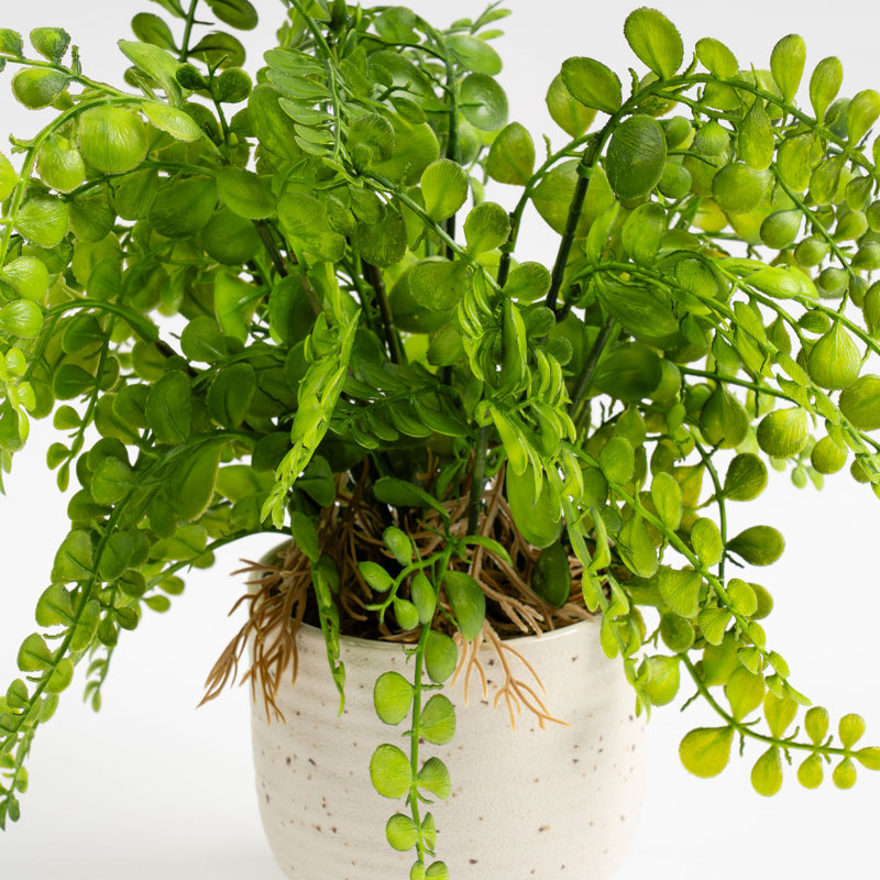 28cm Faux Fern in Speckled Ceramic Pot