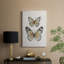 Papillons rétro I - galerie Cavas-302351401