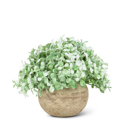 Plante à feuillage artificiel 3,5 "en pot